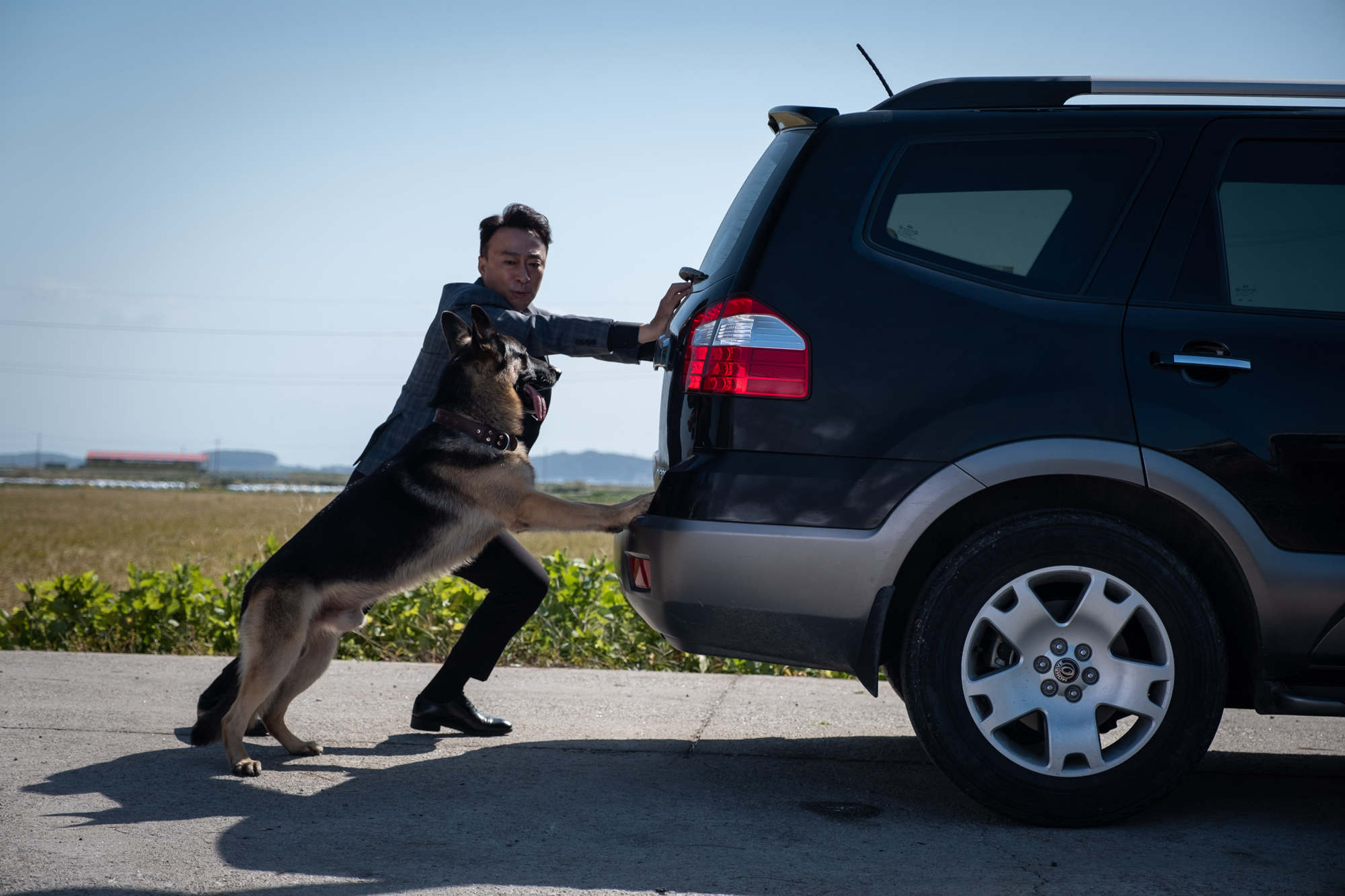 动物园先生剧照的剧照