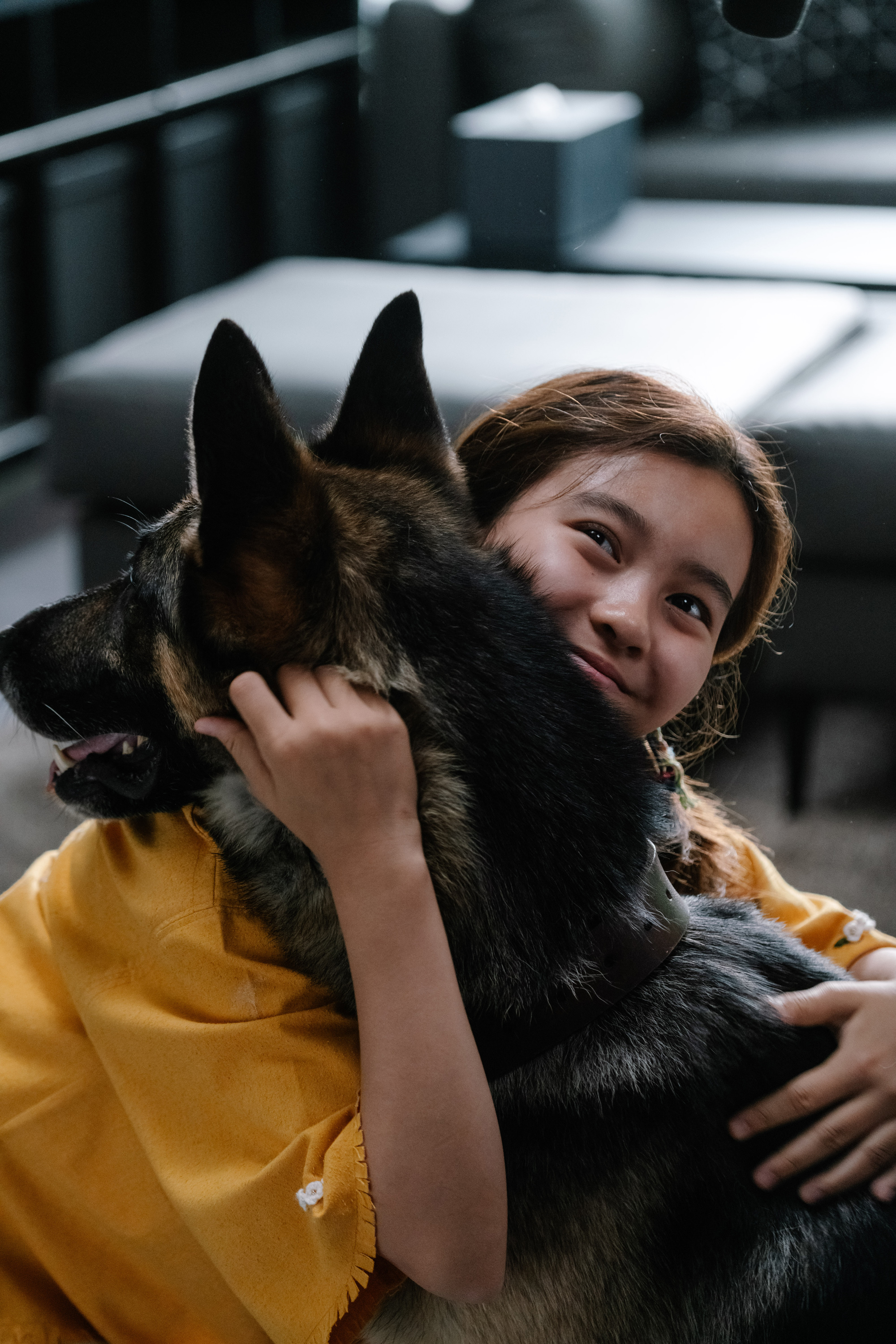 动物园先生剧照的剧照