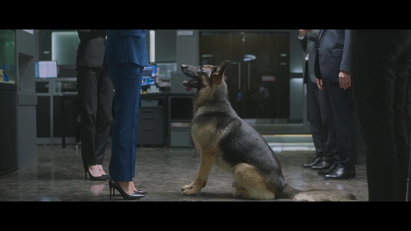 动物园先生剧照的剧照