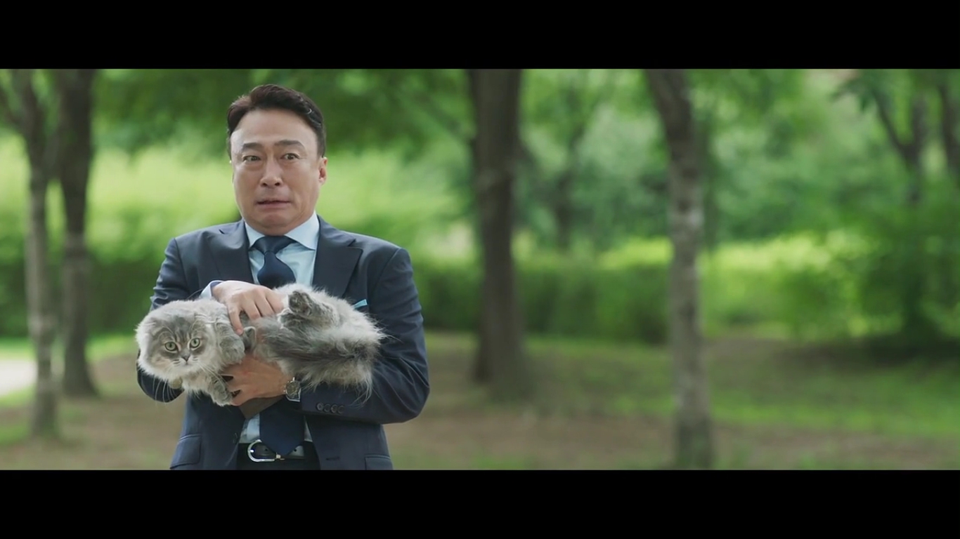 动物园先生剧照的剧照