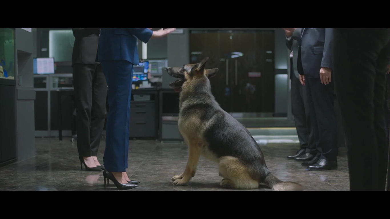 动物园先生剧照的剧照