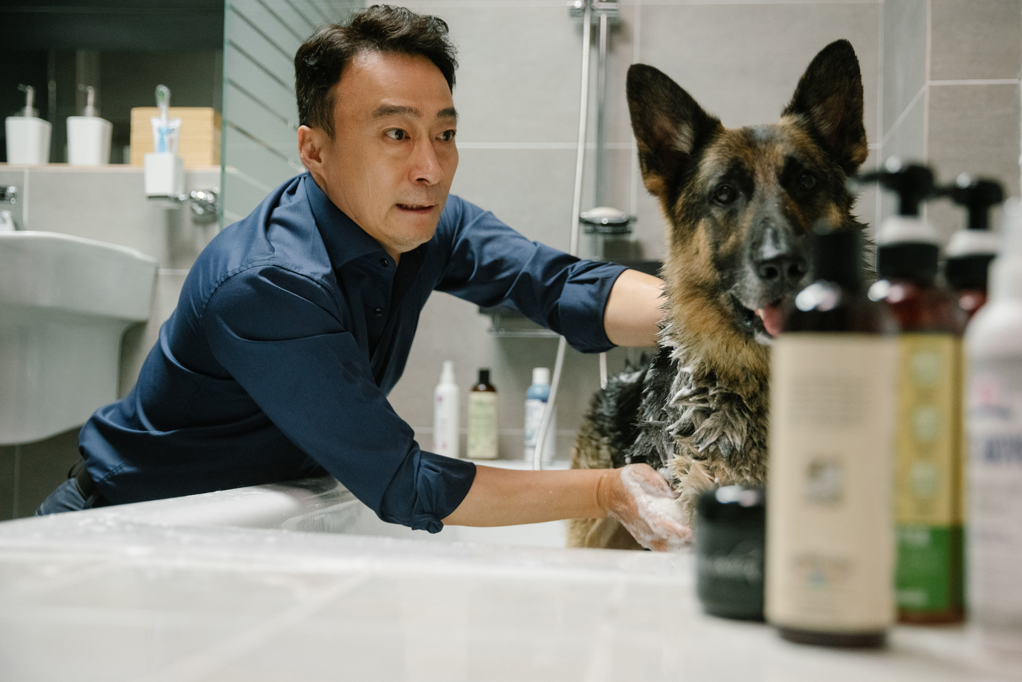 动物园先生剧照的剧照