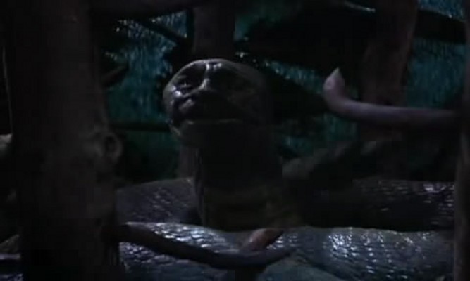 博士的七张脸剧照的剧照