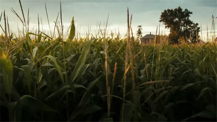 外壳剧照的剧照