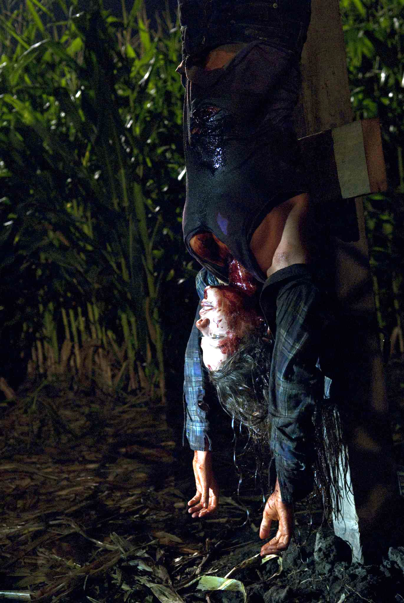 外壳剧照的剧照