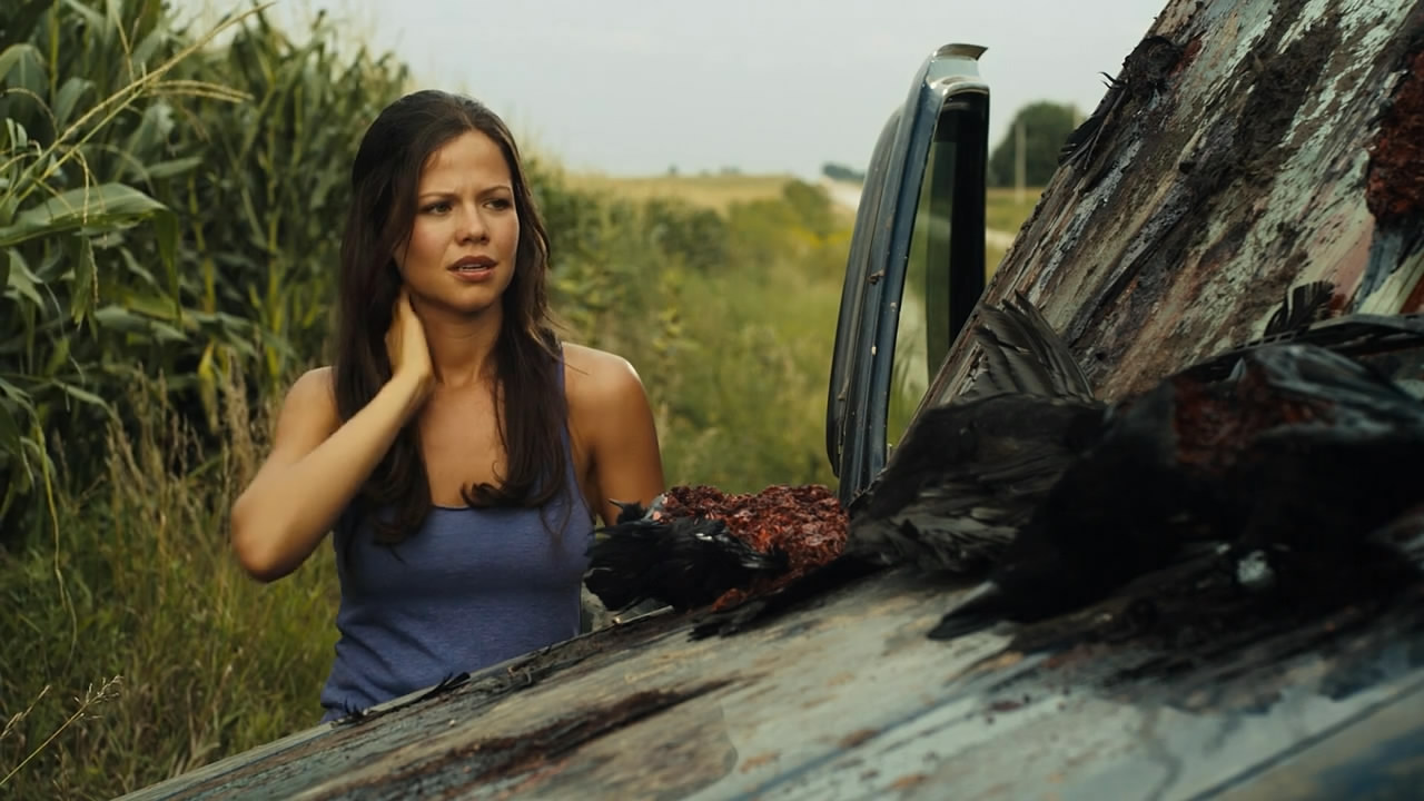 外壳剧照的剧照