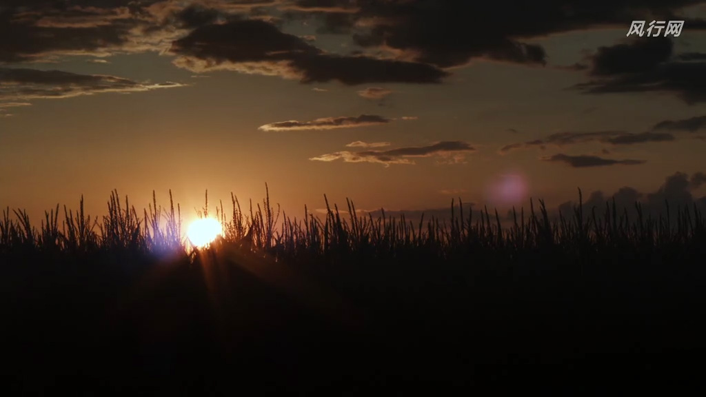 外壳剧照的剧照