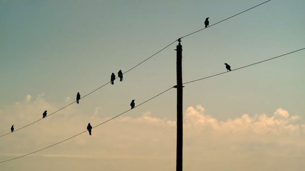 外壳剧照的剧照