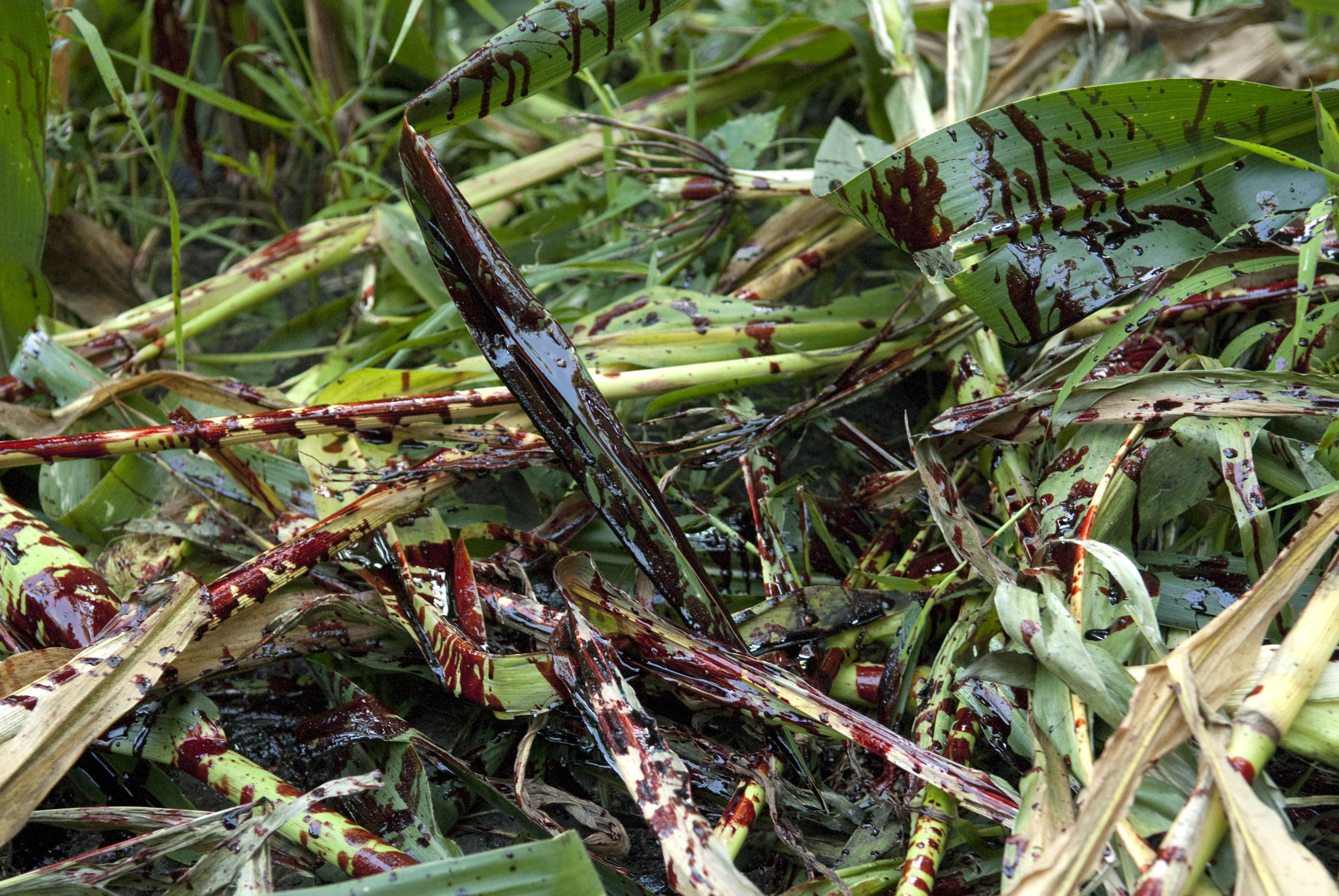 外壳剧照的剧照