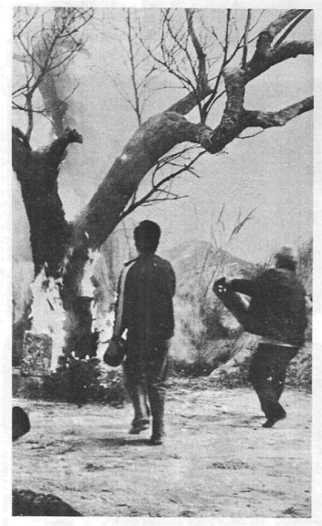 中国超人剧照的剧照