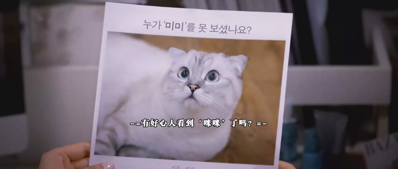 宠物情人剧照的剧照