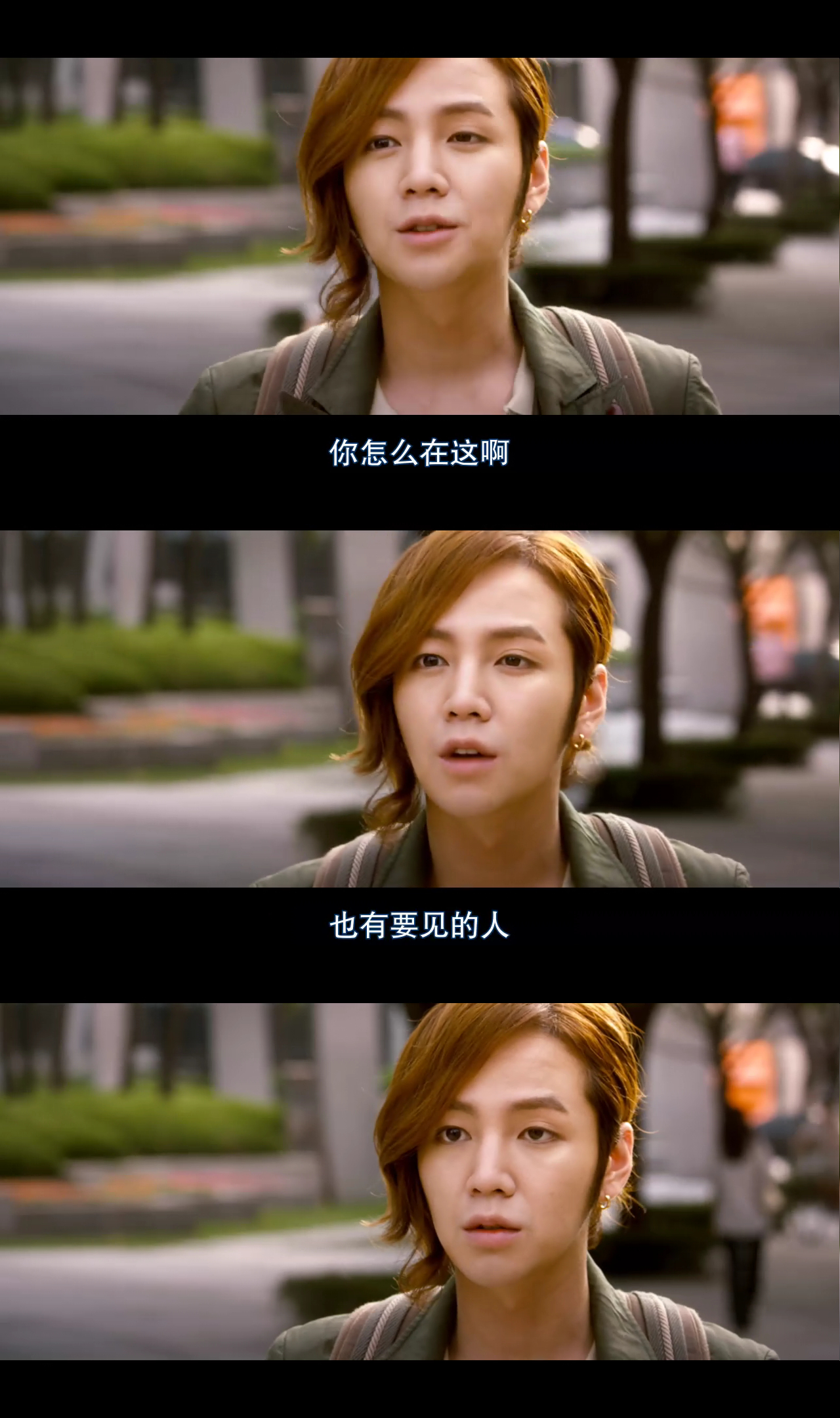 宠物情人剧照的剧照