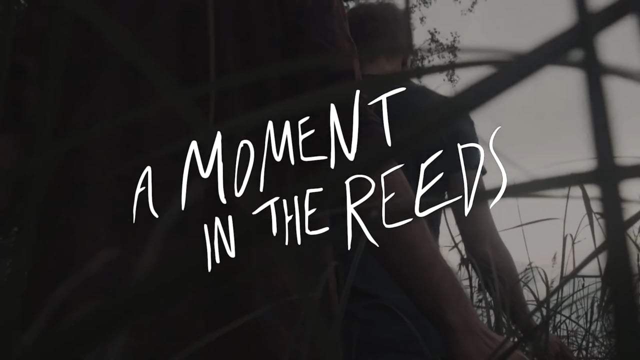 芦苇荡的时光剧照的剧照