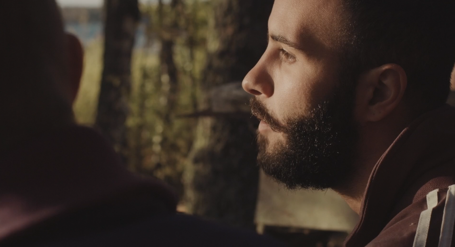 芦苇荡的时光剧照的剧照