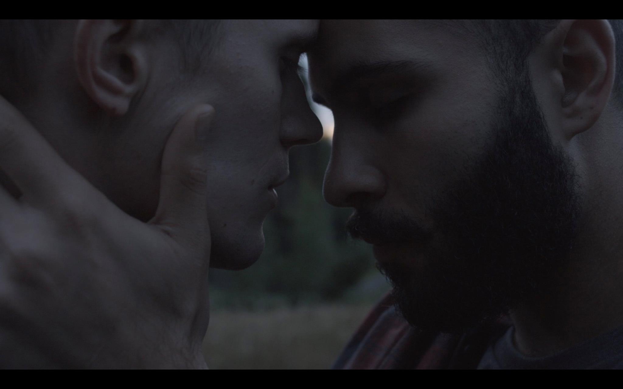 芦苇荡的时光剧照的剧照