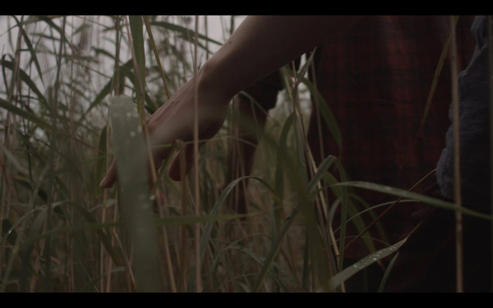 芦苇荡的时光剧照的剧照