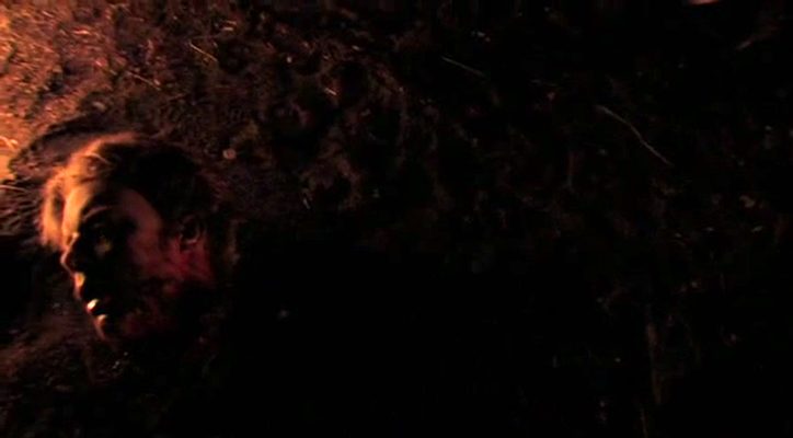 欢迎来到丛林剧照的剧照