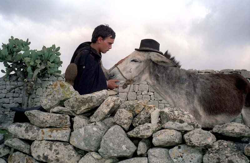 金色大门剧照的剧照