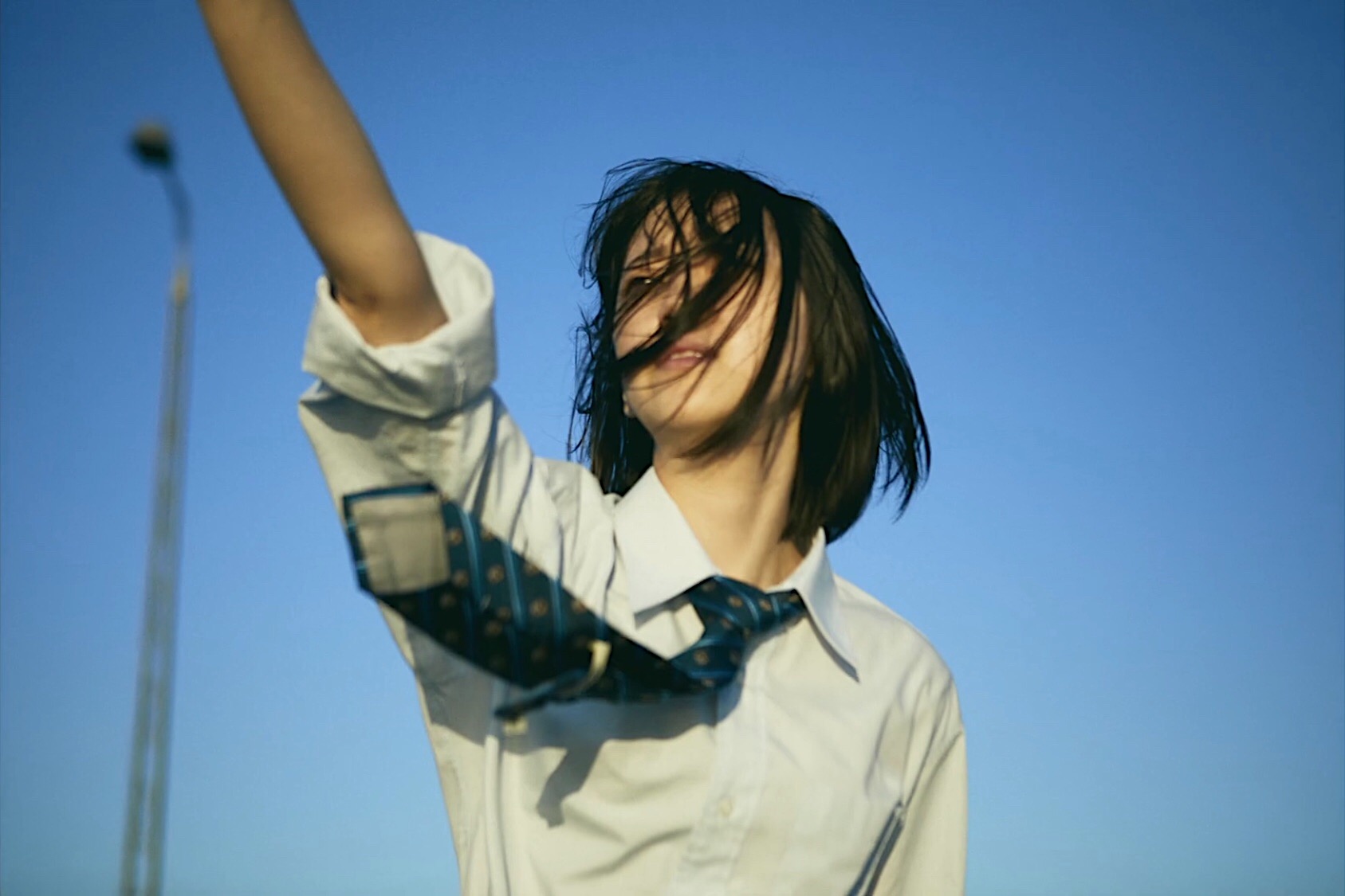 热情花招剧照的剧照