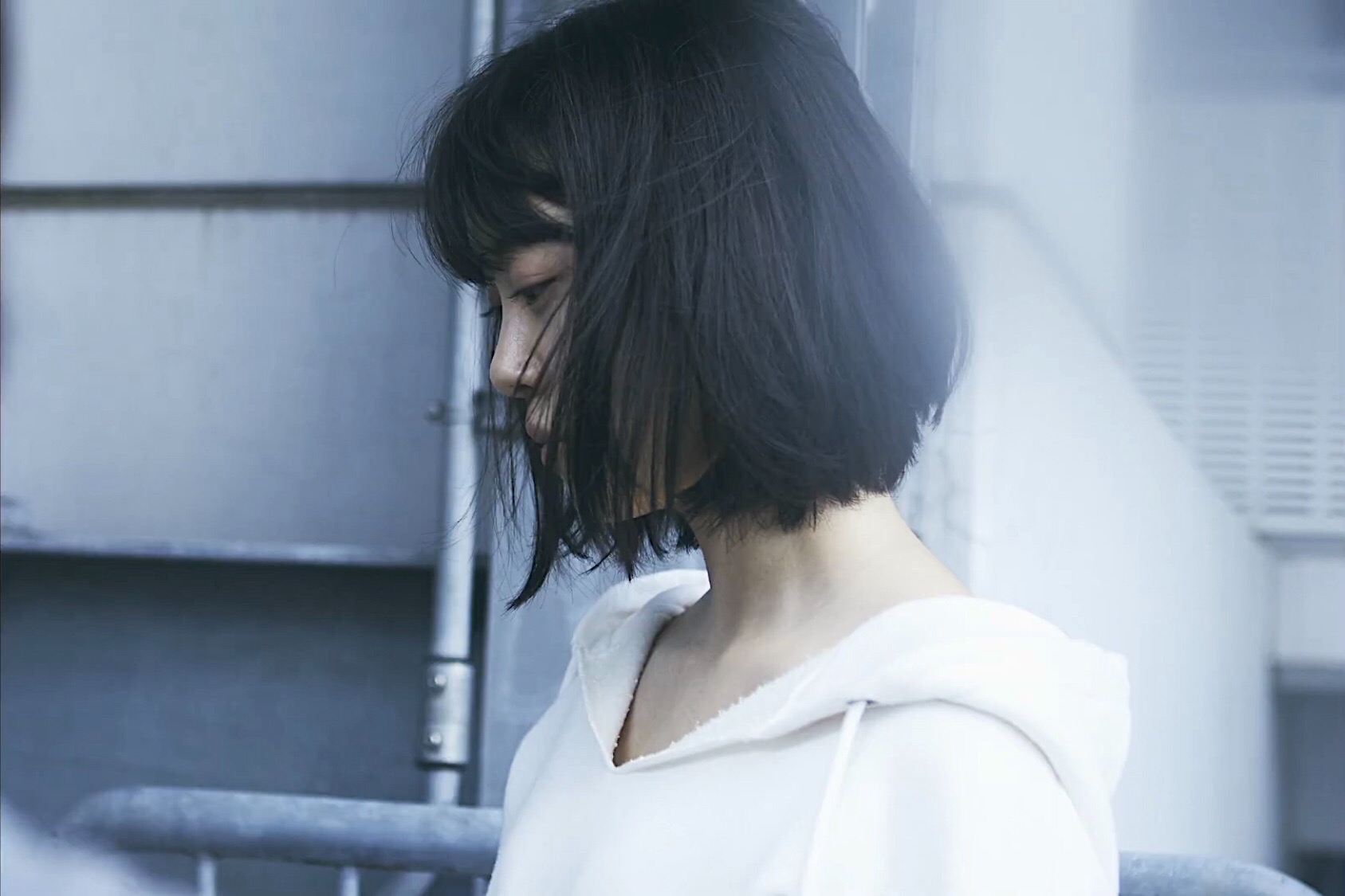 热情花招剧照的剧照