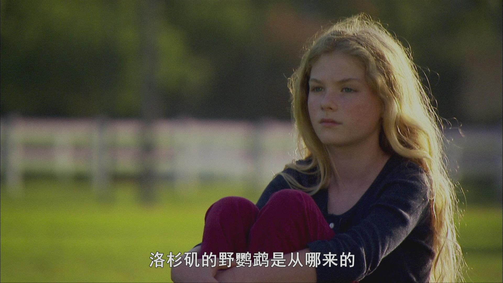 十一岁的夏天剧照的剧照