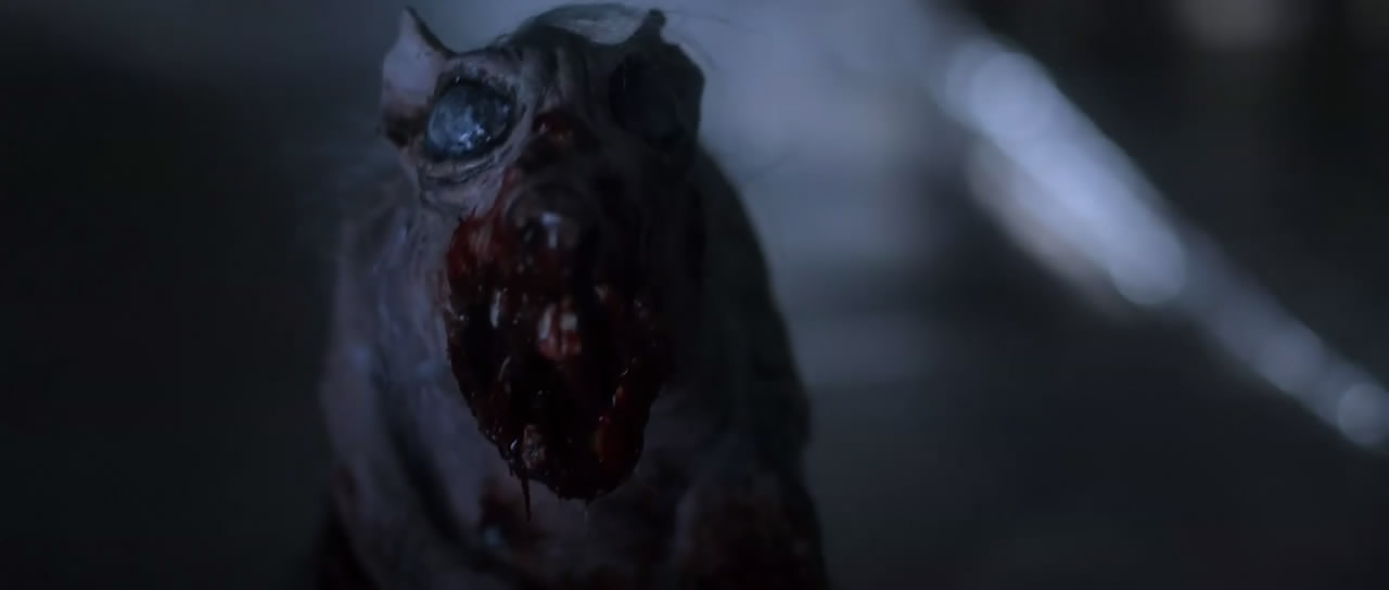 留堂生大战僵尸剧照的剧照