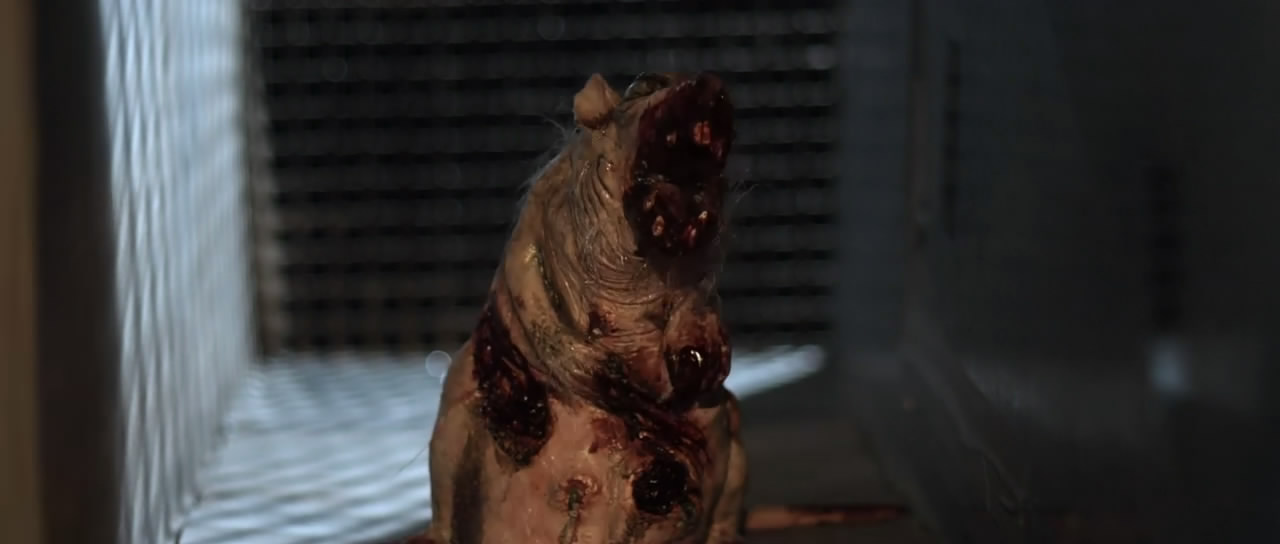 留堂生大战僵尸剧照的剧照