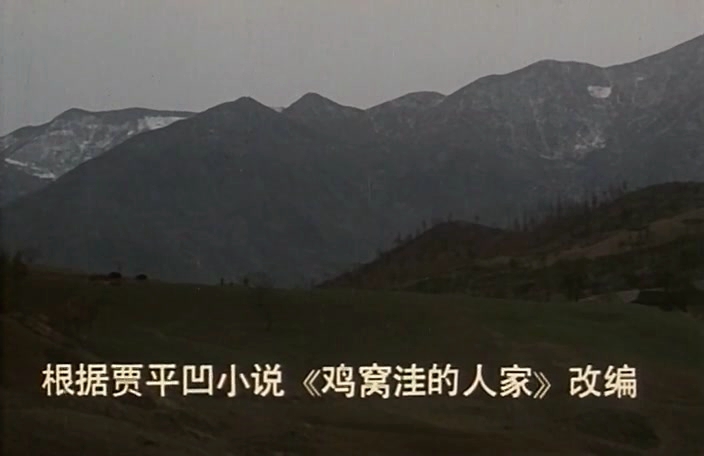 野山剧照的剧照