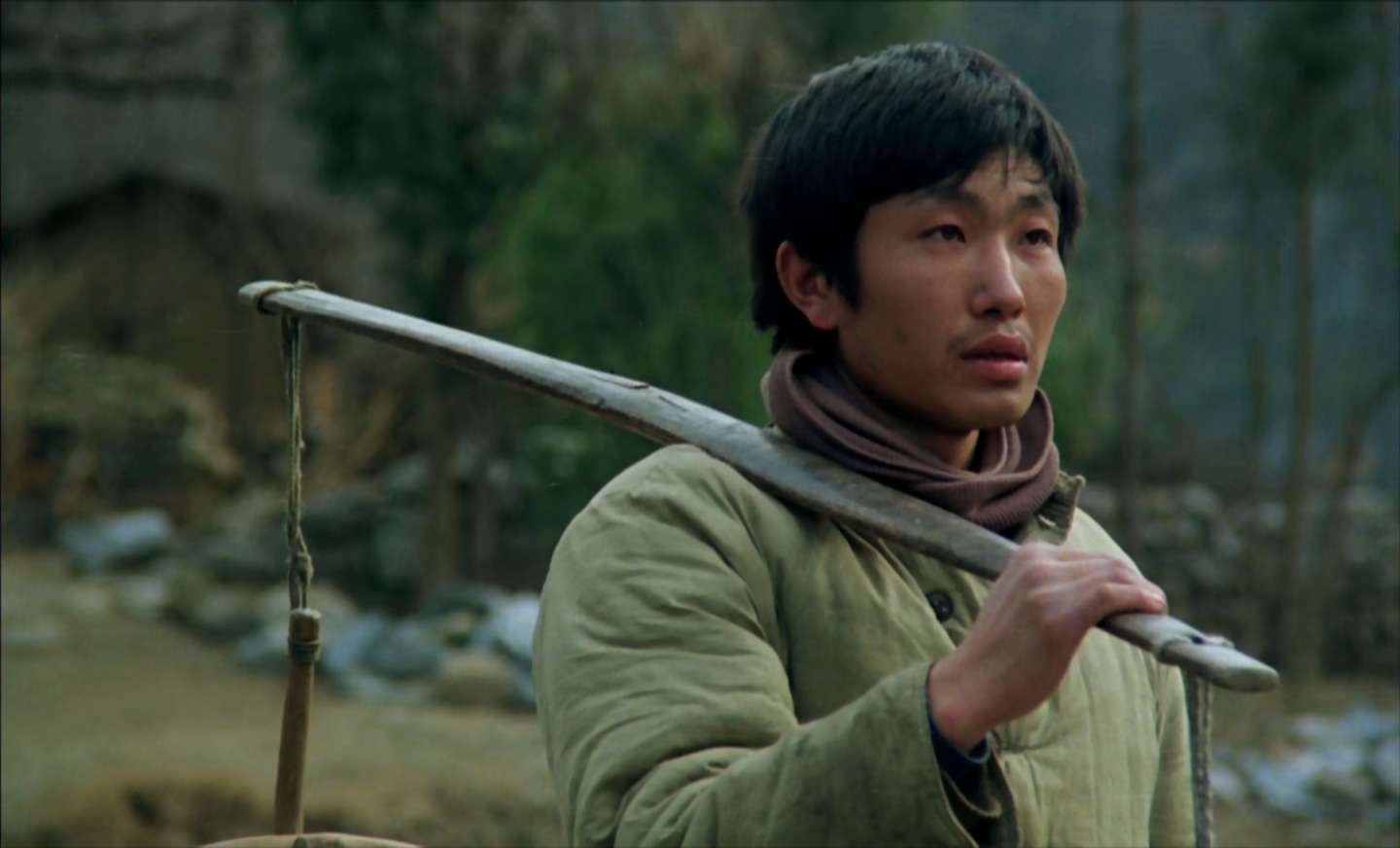 野山剧照的剧照