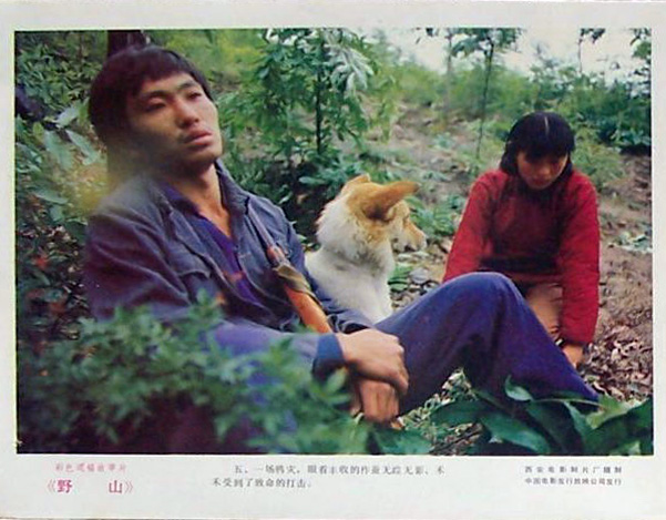 野山剧照的剧照