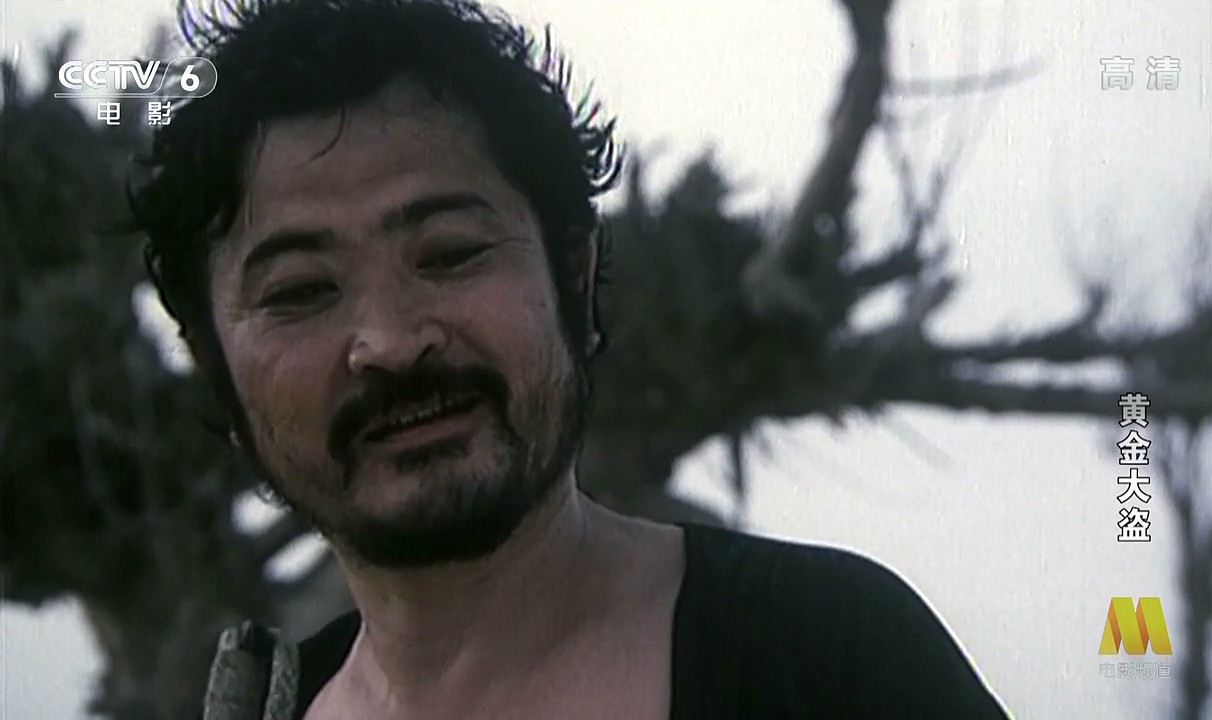 黄金大盗剧照的剧照