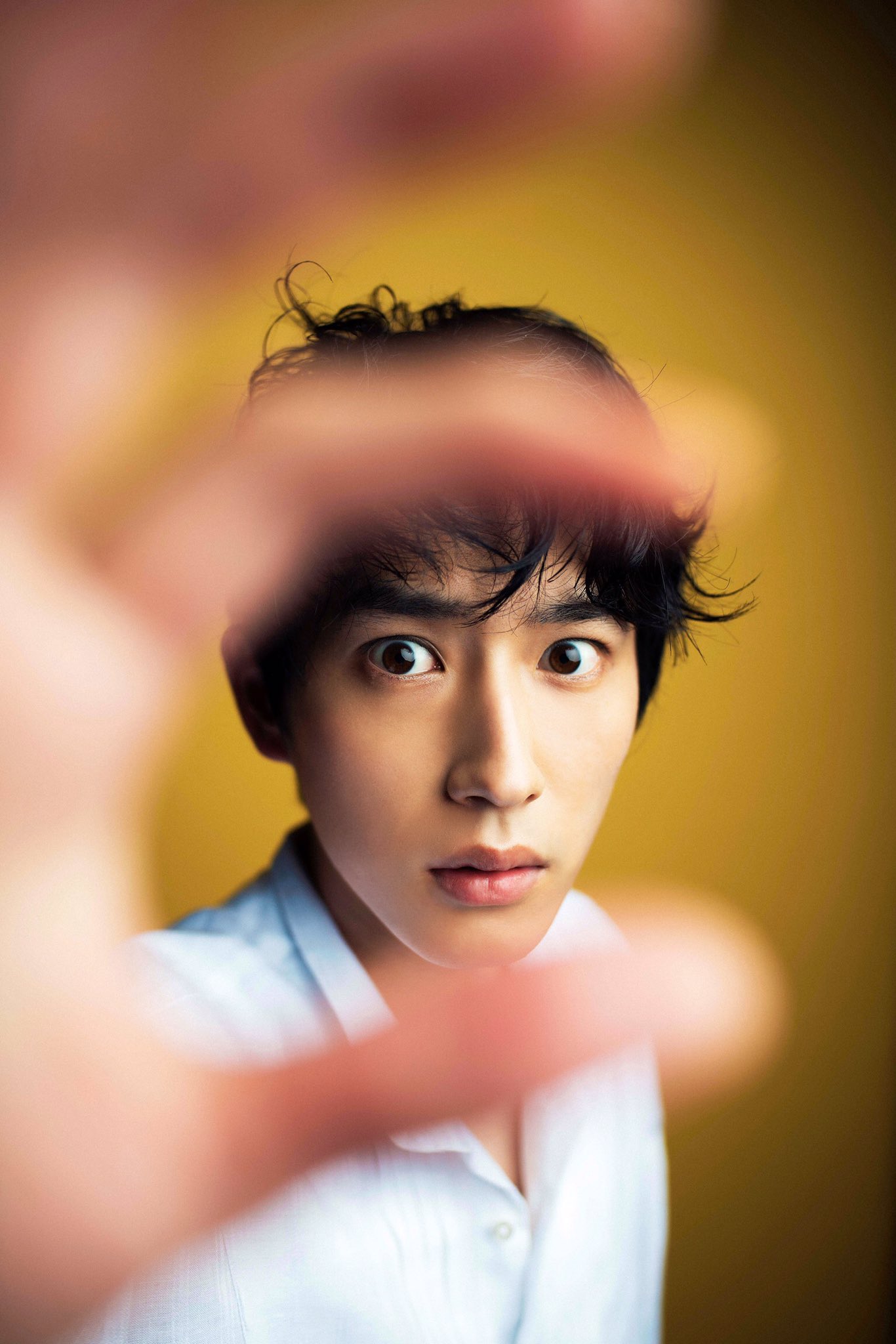 羊与狼的恋爱和杀人剧照的剧照