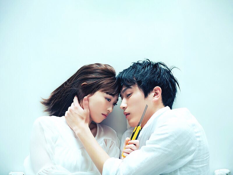 羊与狼的恋爱和杀人剧照的剧照