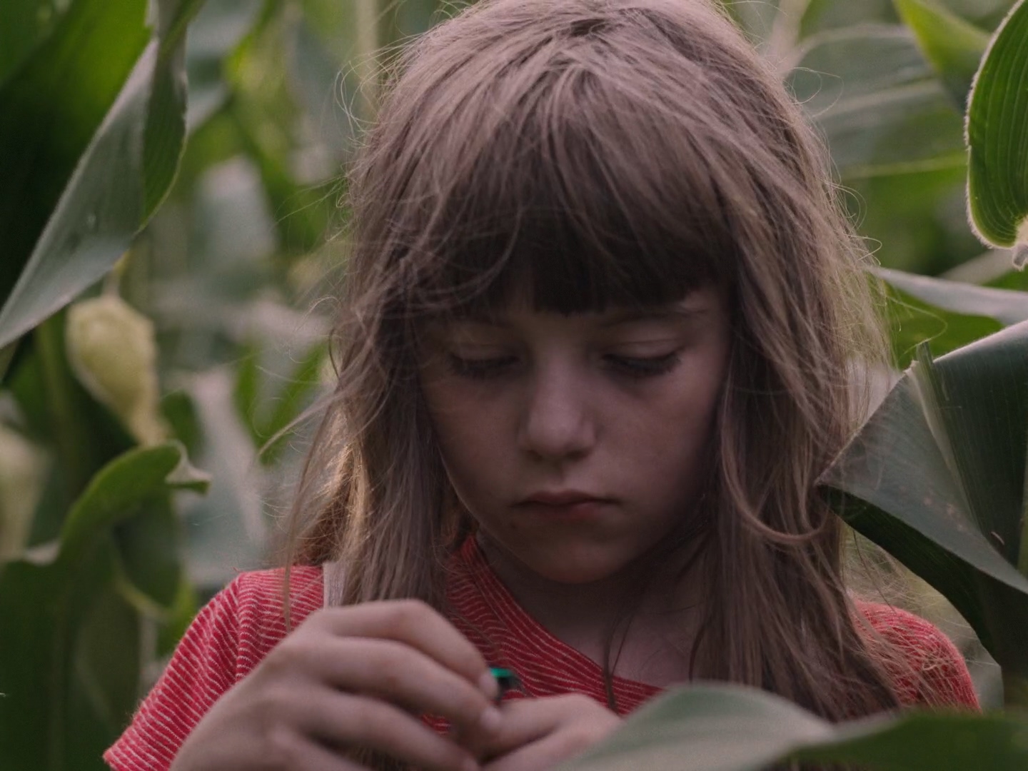 宁多夫女王剧照的剧照