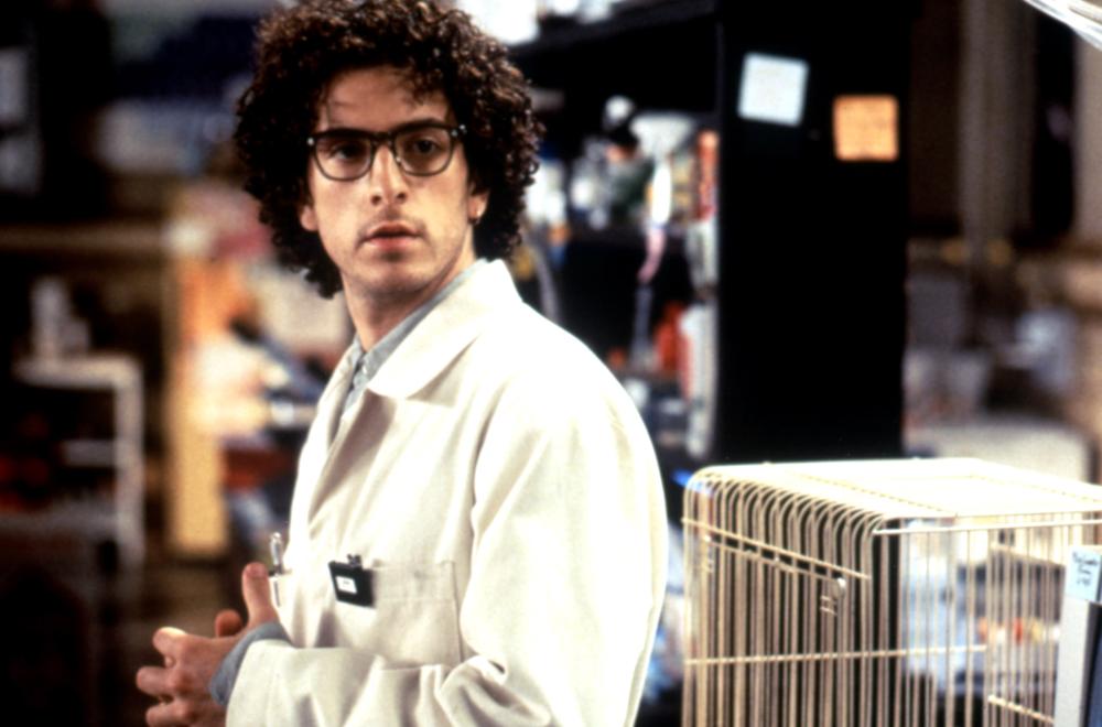 肥佬教授剧照的剧照