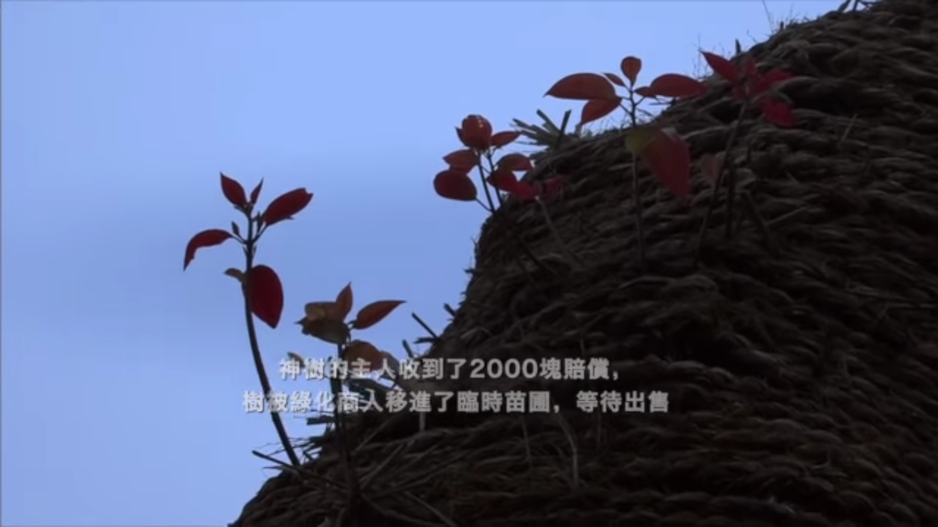 大路朝天剧照的剧照