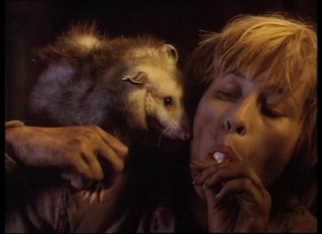 世外桃源历险记剧照的剧照