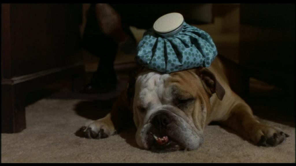 神气活现剧照的剧照