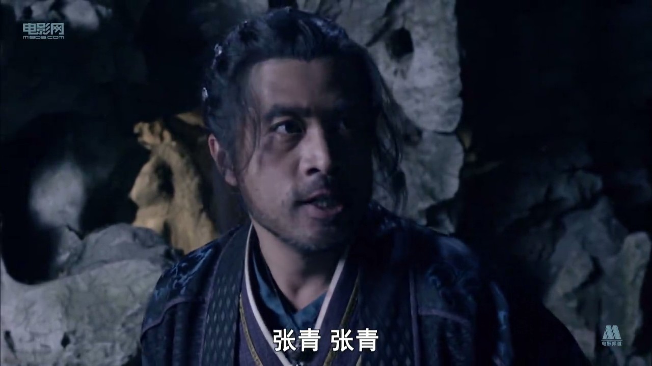 菜园子张青剧照的剧照