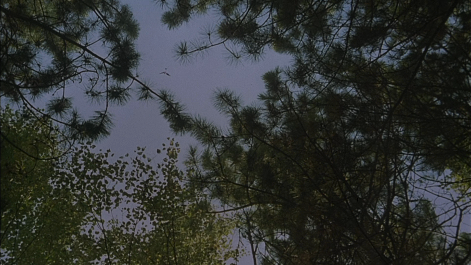 陪着你走剧照的剧照