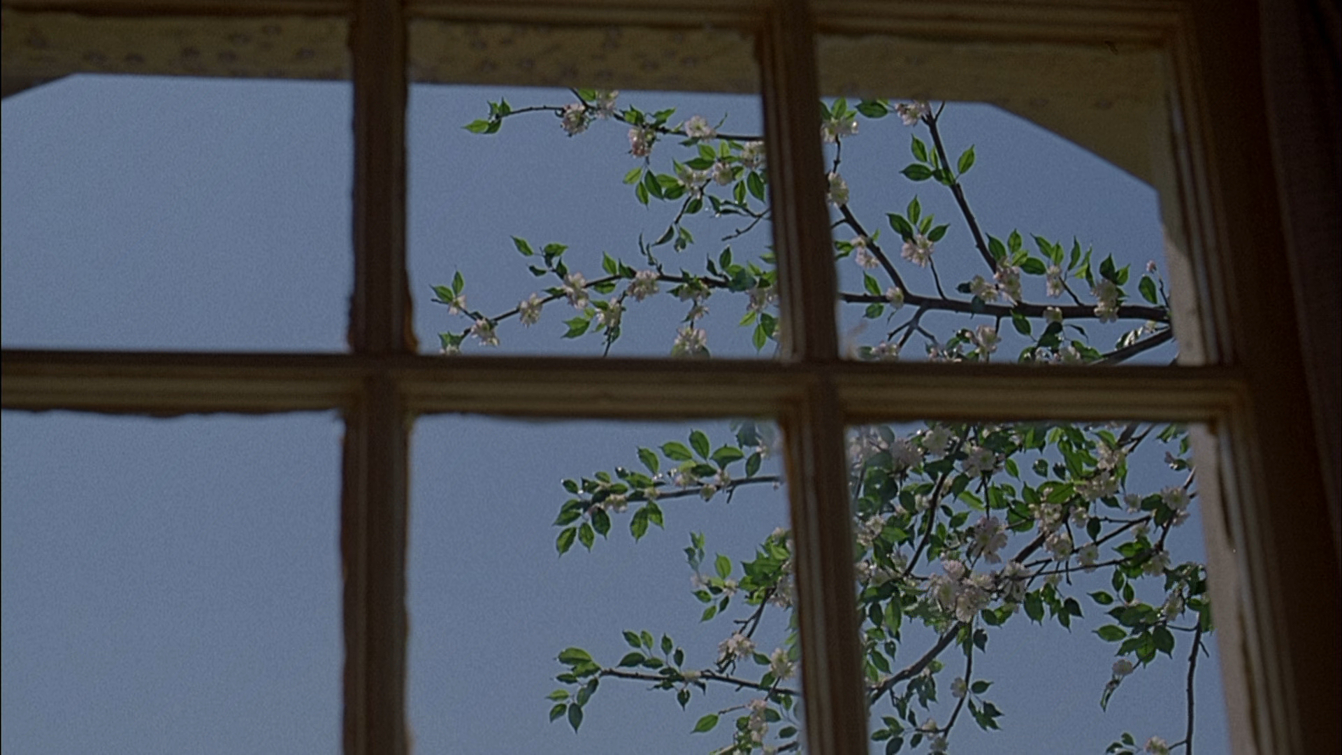 陪着你走剧照的剧照