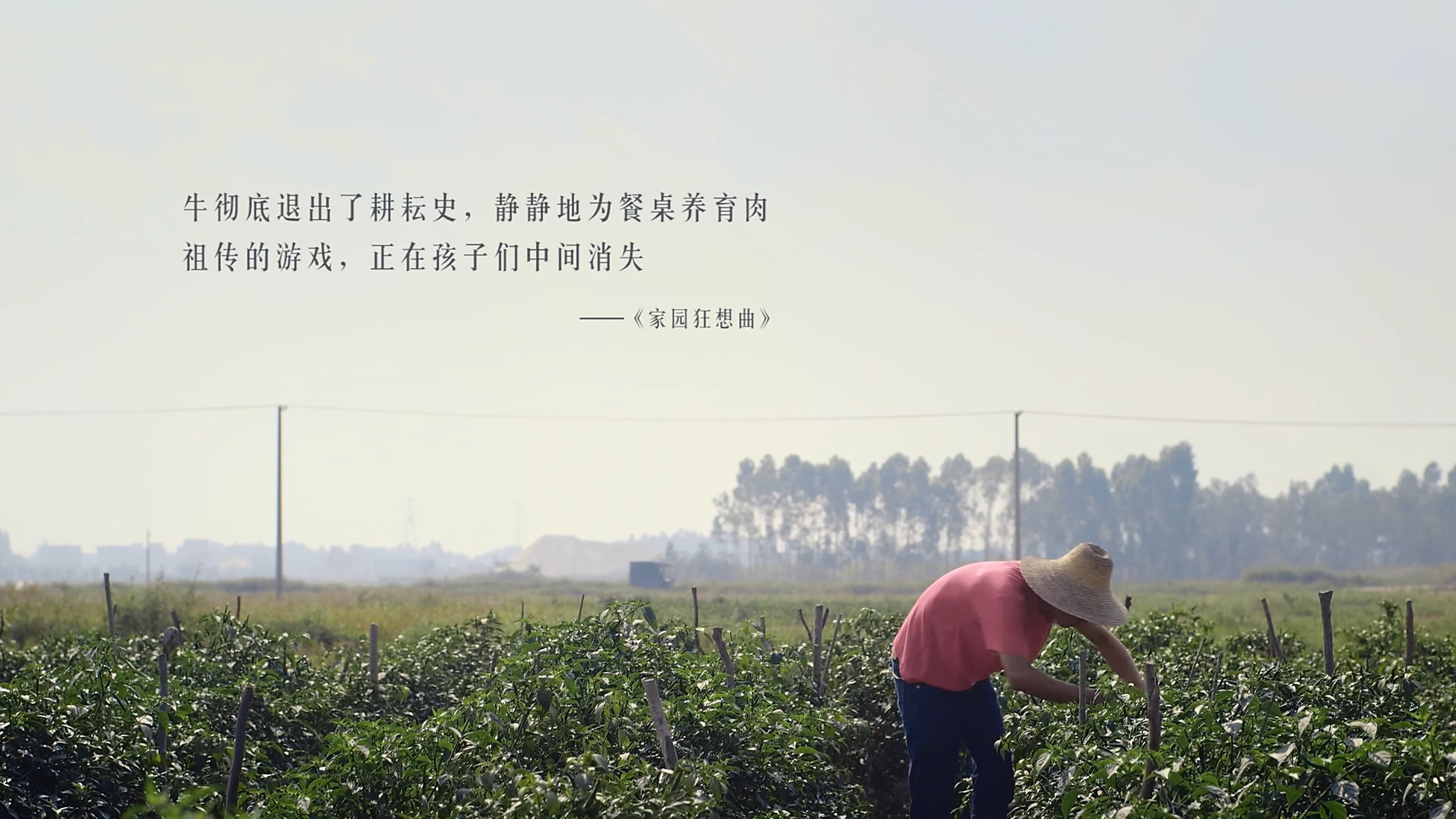 我的诗篇剧照的剧照