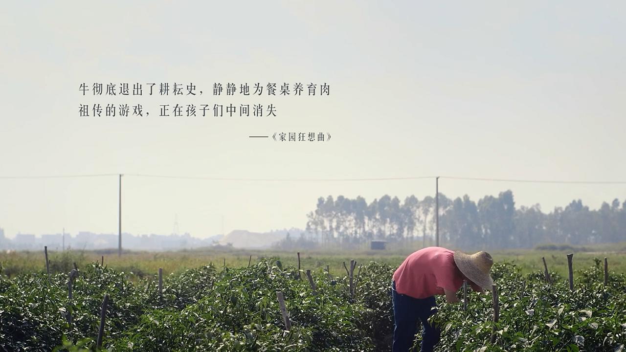 我的诗篇剧照的剧照