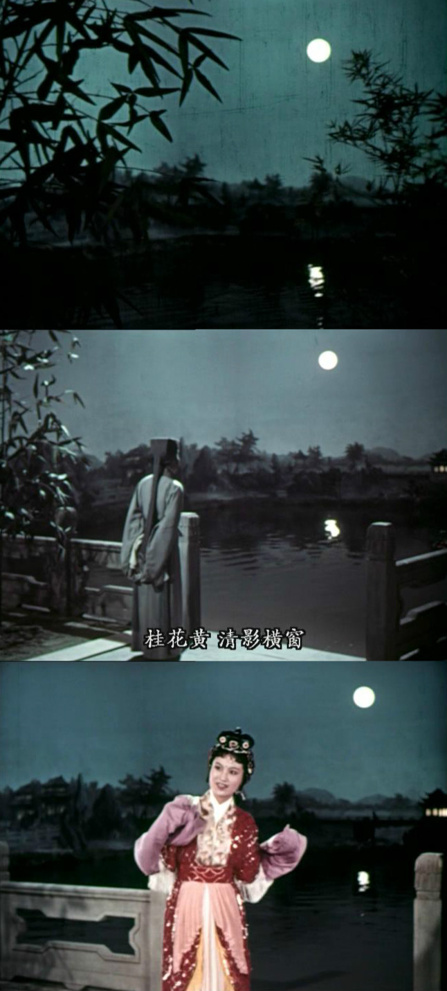 追鱼剧照的剧照