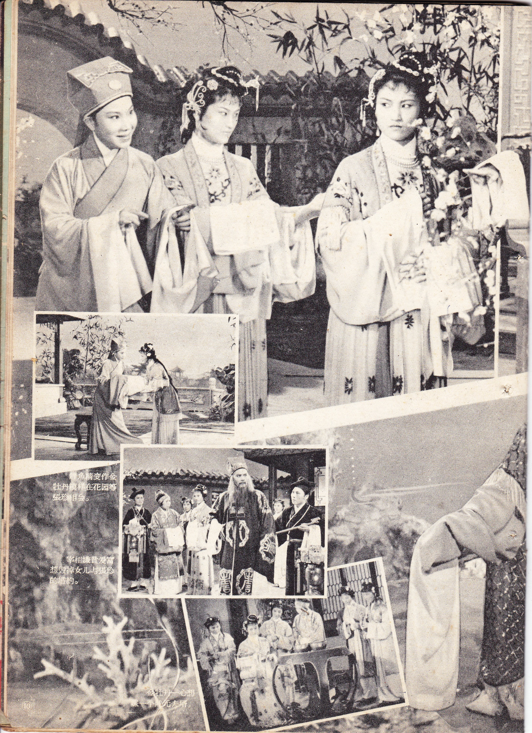 追鱼剧照的剧照