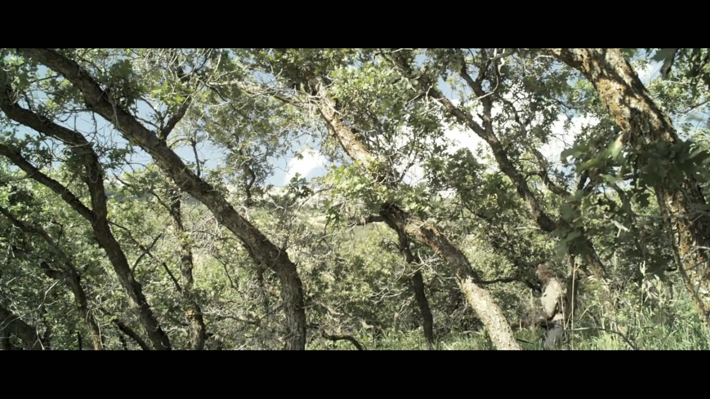 冰雪勇士2：空降信条剧照的剧照