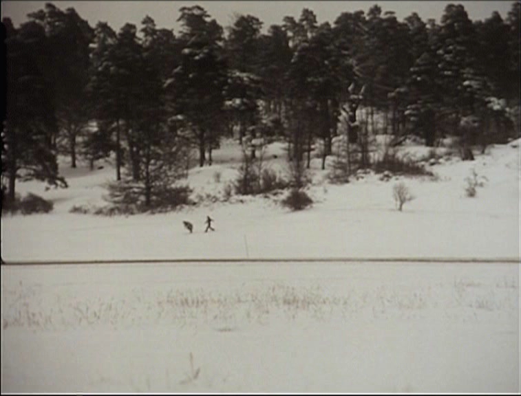 今年夏天的海滩剧照的剧照