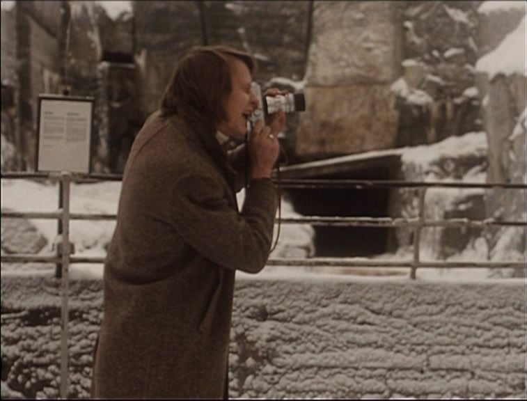 今年夏天的海滩剧照的剧照