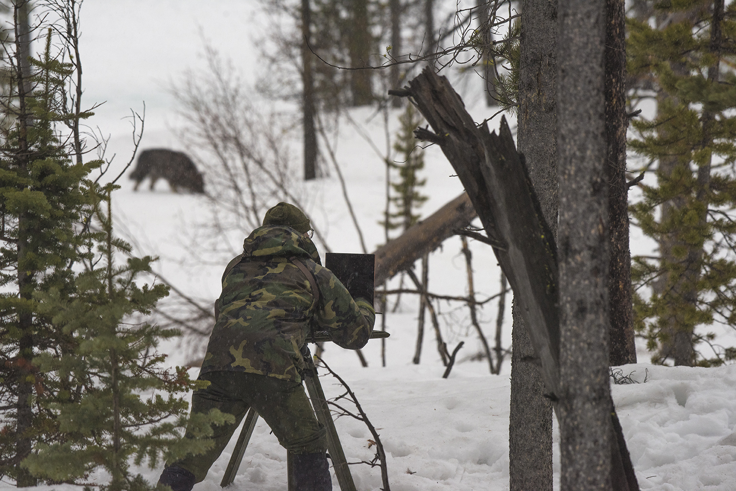 堡垒剧照的剧照
