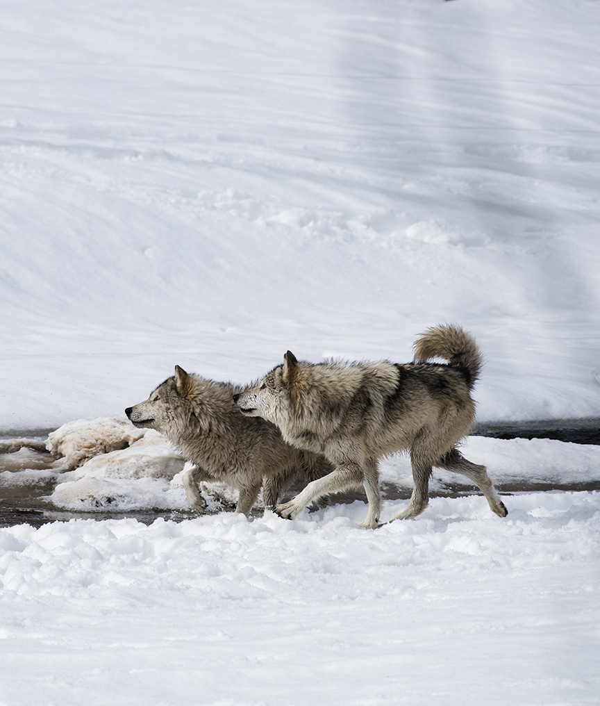 堡垒剧照的剧照